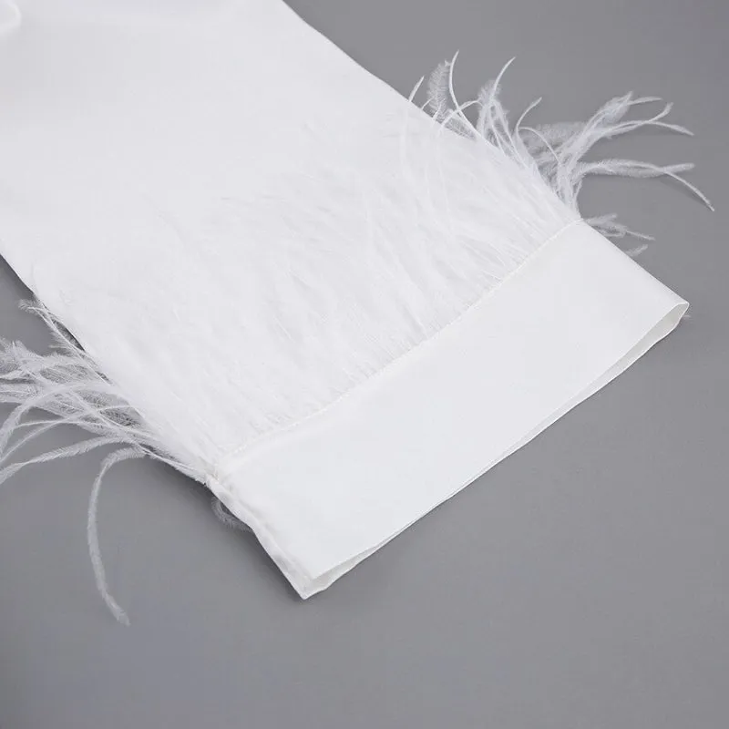 Feather Sleeves Gown For Women